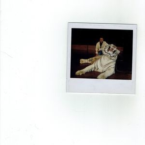 Meet your Posher, Troy